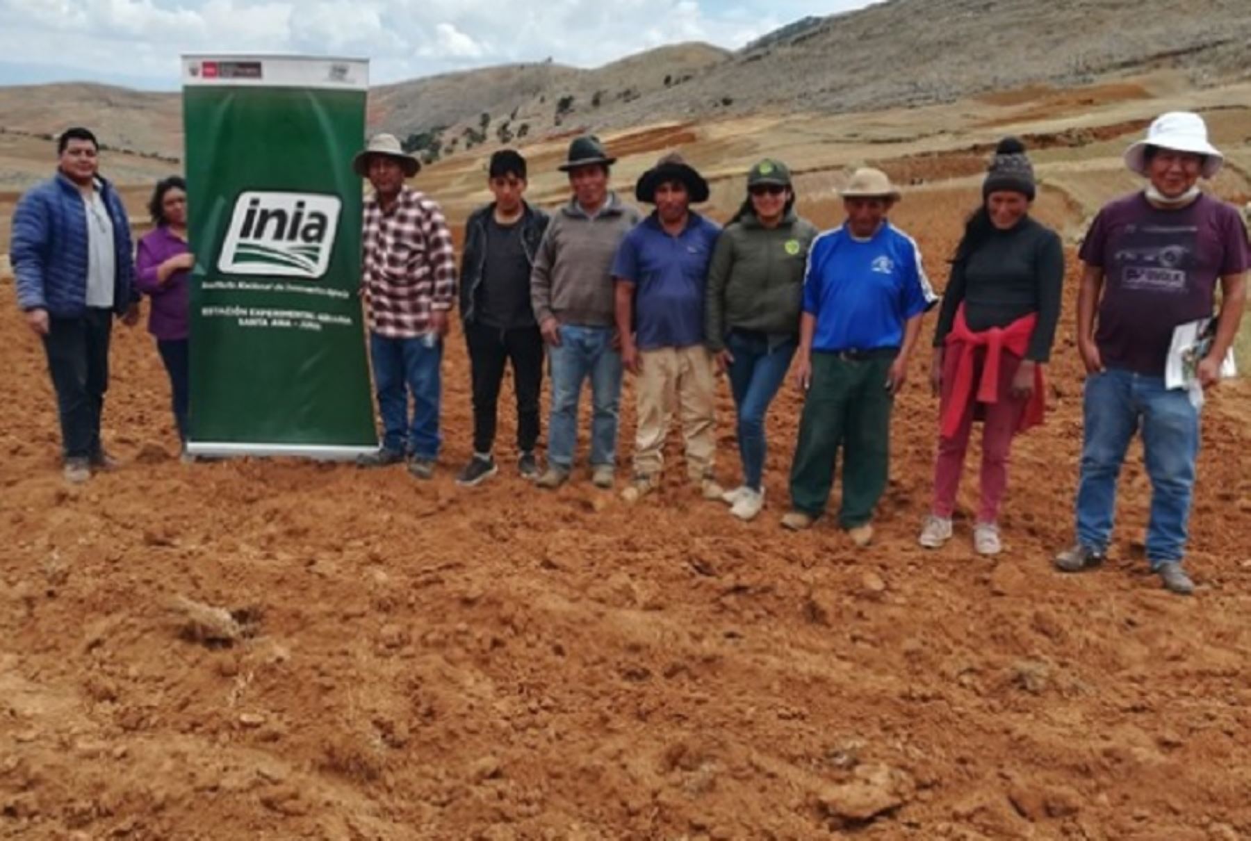 El Instituto Nacional de Innovación Agraria (INIA) del Ministerio de Desarrollo Agrario y Riego (Midagri), instaló una parcela demostrativa de cultivo de quinua, variedad INIA 438 Acollina, en la zona campesina del sector Pucamachay, en la provincia de Concepción, región Junín.