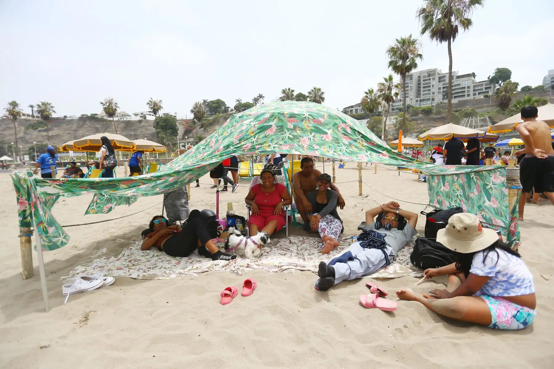 Muchas personas deciden pasar navidad refrescándose en la playa de Agua Dulce

Foto: ANDINA/Ricardo Cuba