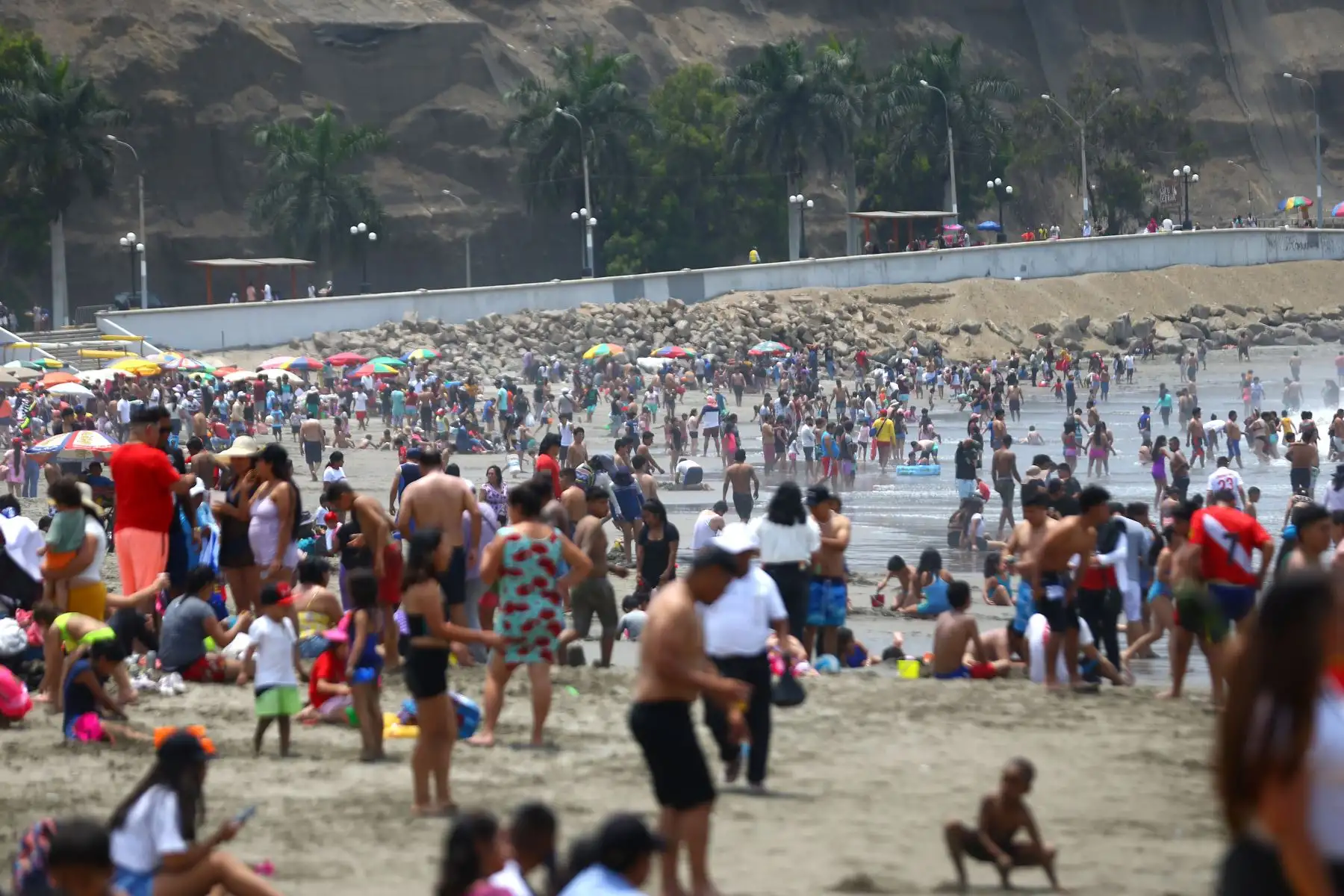 Muchas personas deciden pasar navidad refrescándose en la playa de Agua Dulce

Foto: ANDINA/Ricardo Cuba