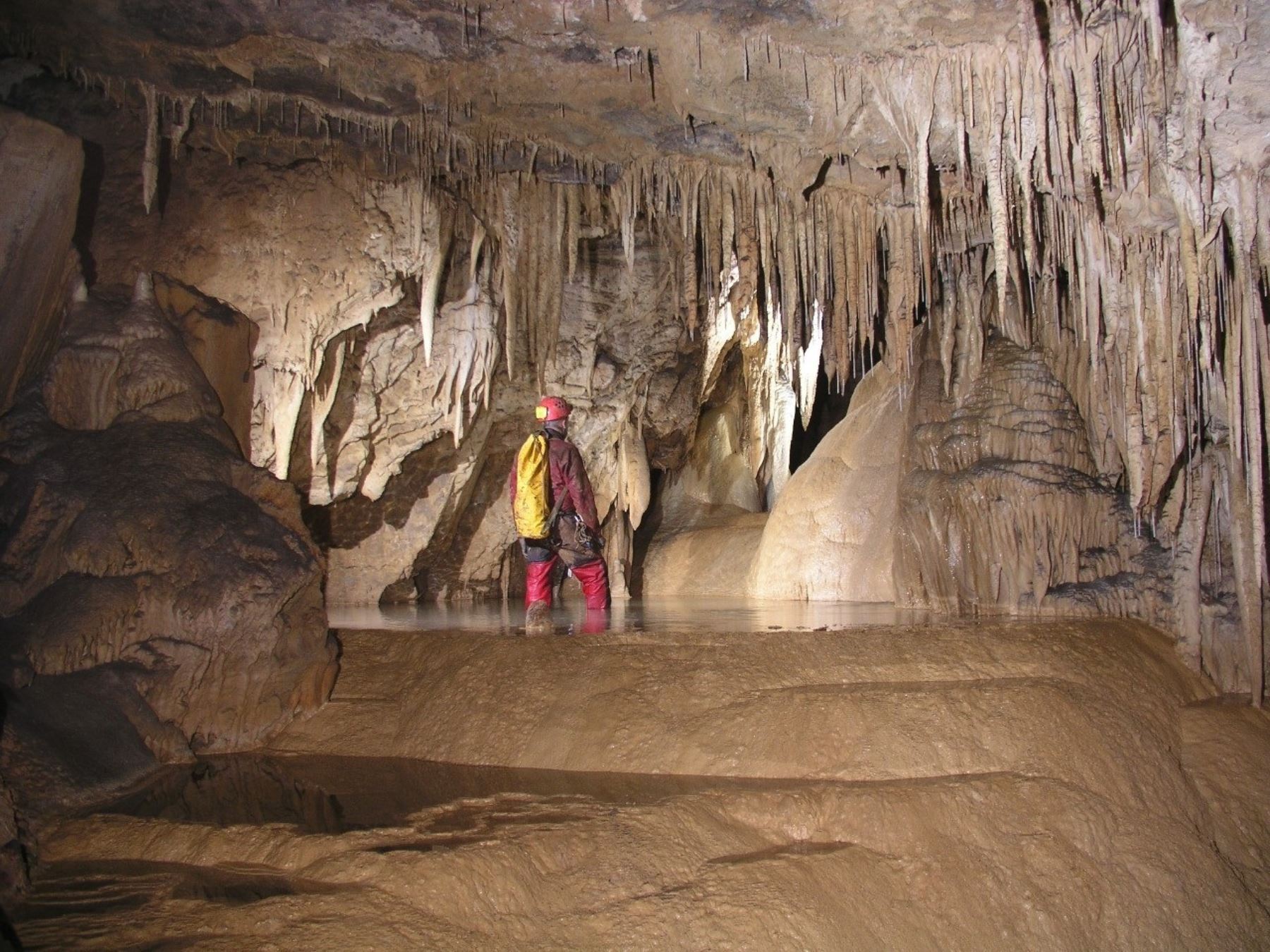 El distrito de Nueva Cajamarca celebró la reapertura de las Cuevas de Palestina, considerado uno de los principales atractivos turísticos del Destino Alto Mayo de la región San Martín.  ANDINA/Difusión
