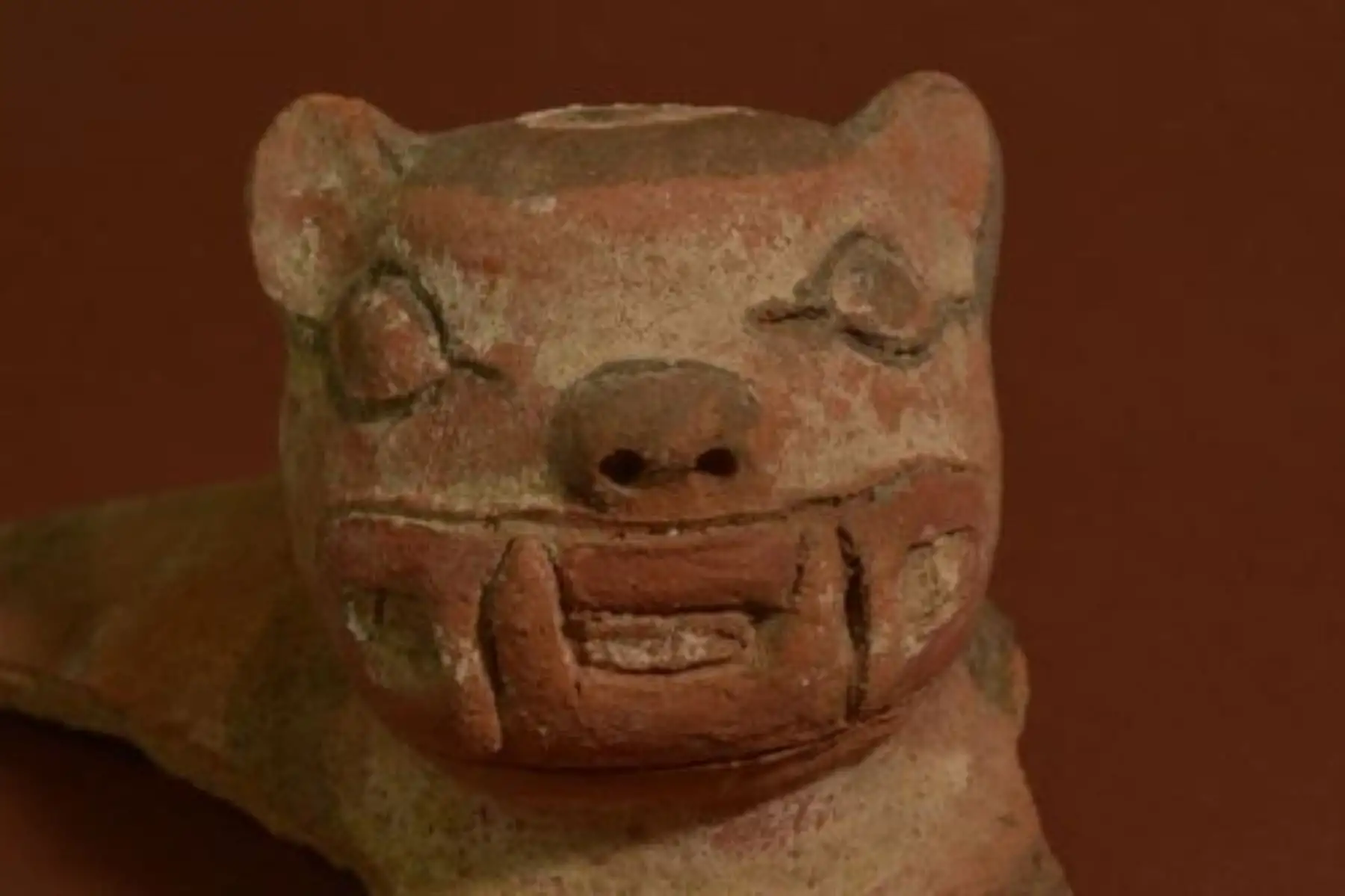Pieza de cerámica hallada en el Templo de Montegrande 
que representa la cabeza de un jaguar u otorongo, animal amazónico considerado sagrado en las culturas preincas, que estaba boca abajo y al costado de un “ritual de culto al fuego” o gran quema que constituye un evento posterior en el periodo Formativo Temprano.

Foto: Difusión