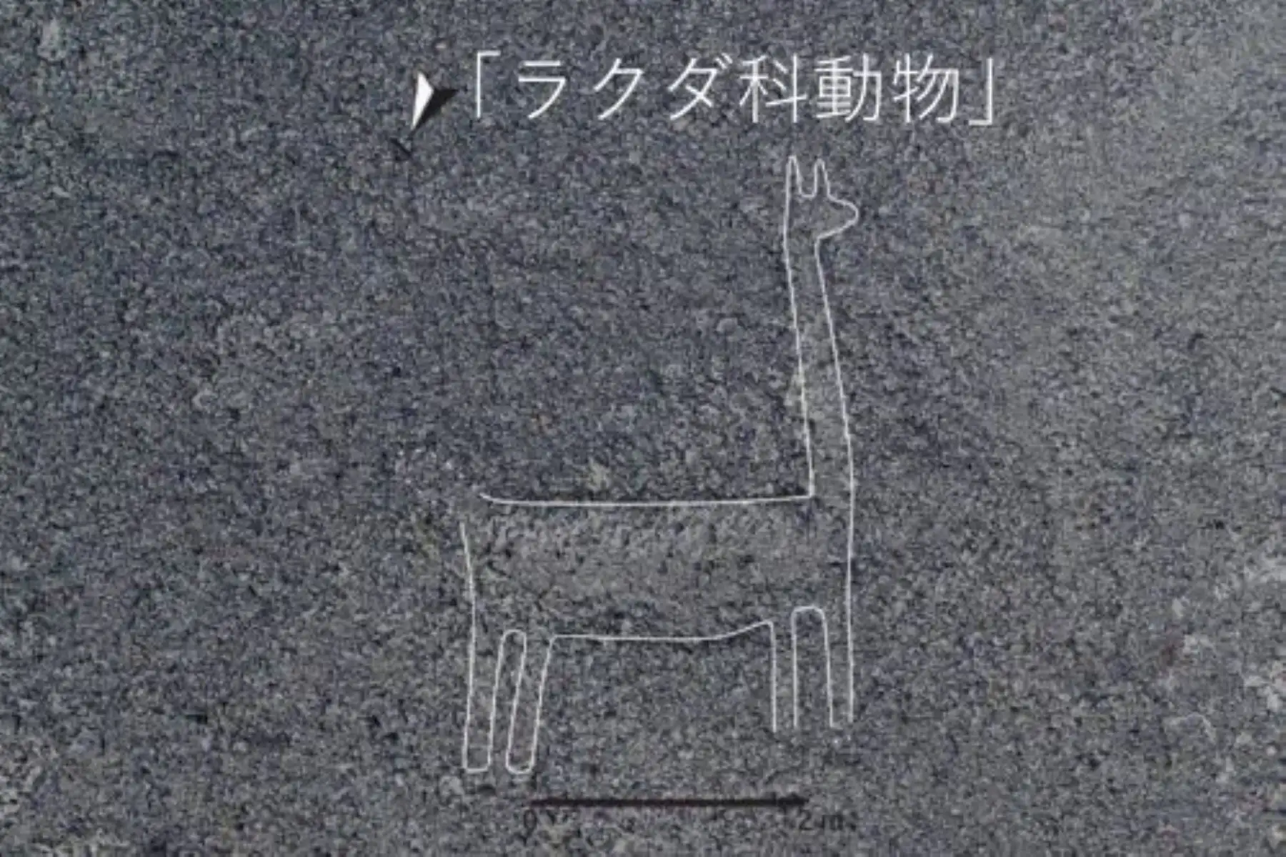 De las 168 figuras halladas cerca de los líneas de Nasca, 50 tienen forma humana y otras representan a felinos, aves, serpientes y otras son figuras lineales y trapezoidales.

Foto: Difusión