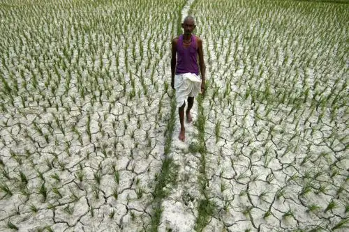 Seguridad alimentaria de la India