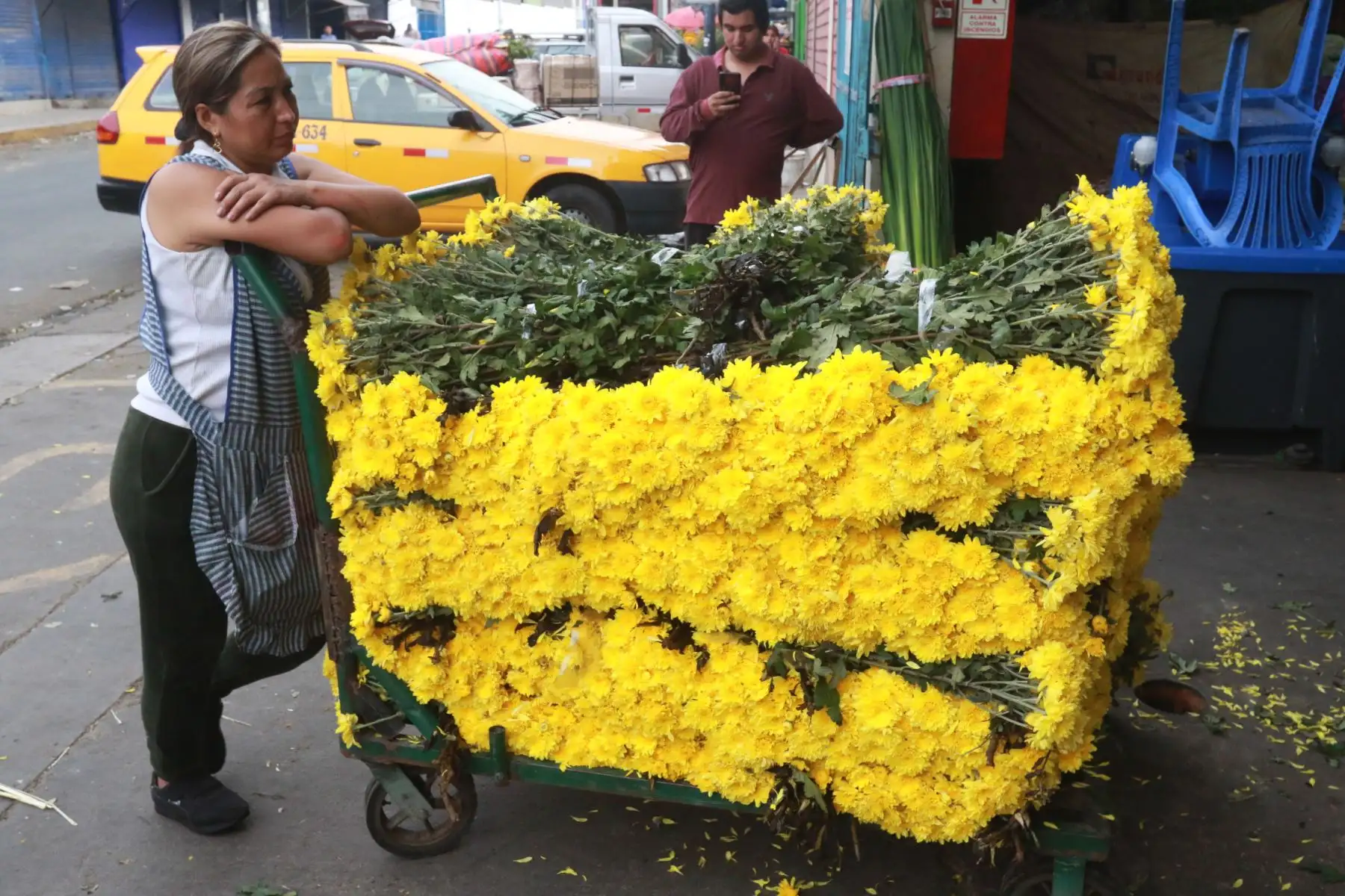 Comercializacion de flores para la fiesta de fin de año.Foto: ANDINA/Héctor Vinces