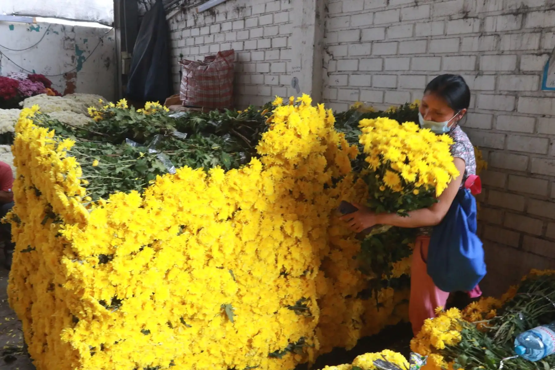 Comercializacion de flores para la fiesta de fin de año.Foto: ANDINA/Héctor Vinces