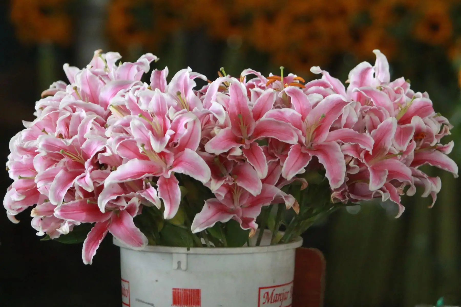 Comercializacion de flores para la fiesta de fin de año.Foto: ANDINA/Héctor Vinces