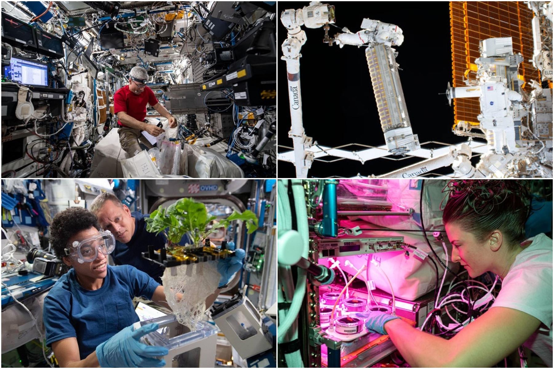 La NASA ha rescatado algunas de las mejores fotografías que dan cuenta de los avances científicos que se han estado desarrollando durante este año en la Estación Espacial Internacional.