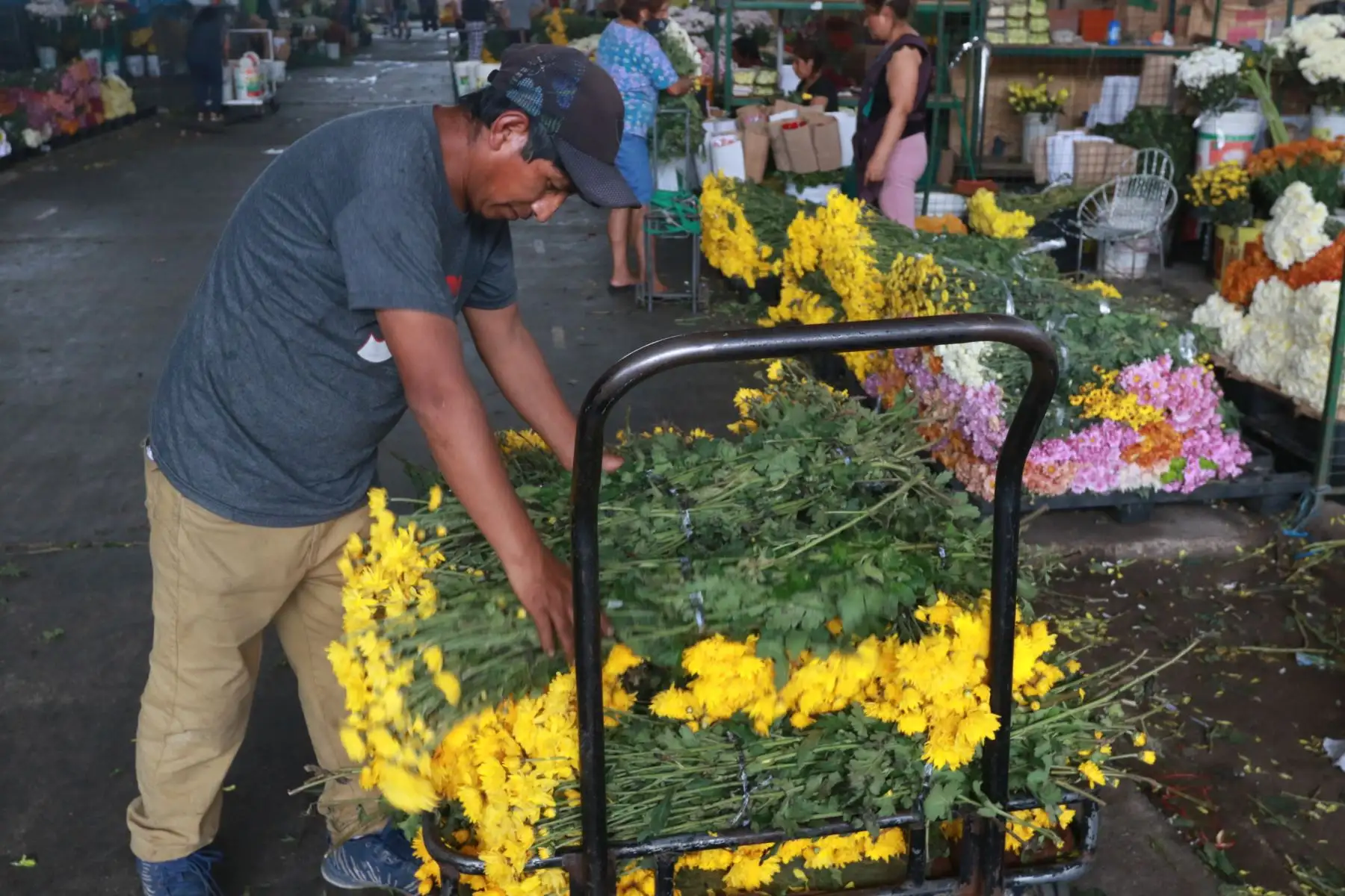 A escasas horas de recibir el año nuevo 2023 muchas personas acuden al mercado de flores Santa Rosa en el Rimac para comprar los arreglos florales de dicho color para atraer la suerte del nuevo año. Los ramos de flores amarillas se pueden encontrar de todo precio mientras que los girasoles se venden desde 6 soles  hasta 14 soles el ramo, hay para todos los gustos. Foto: ANDINA/Héctor Vinces