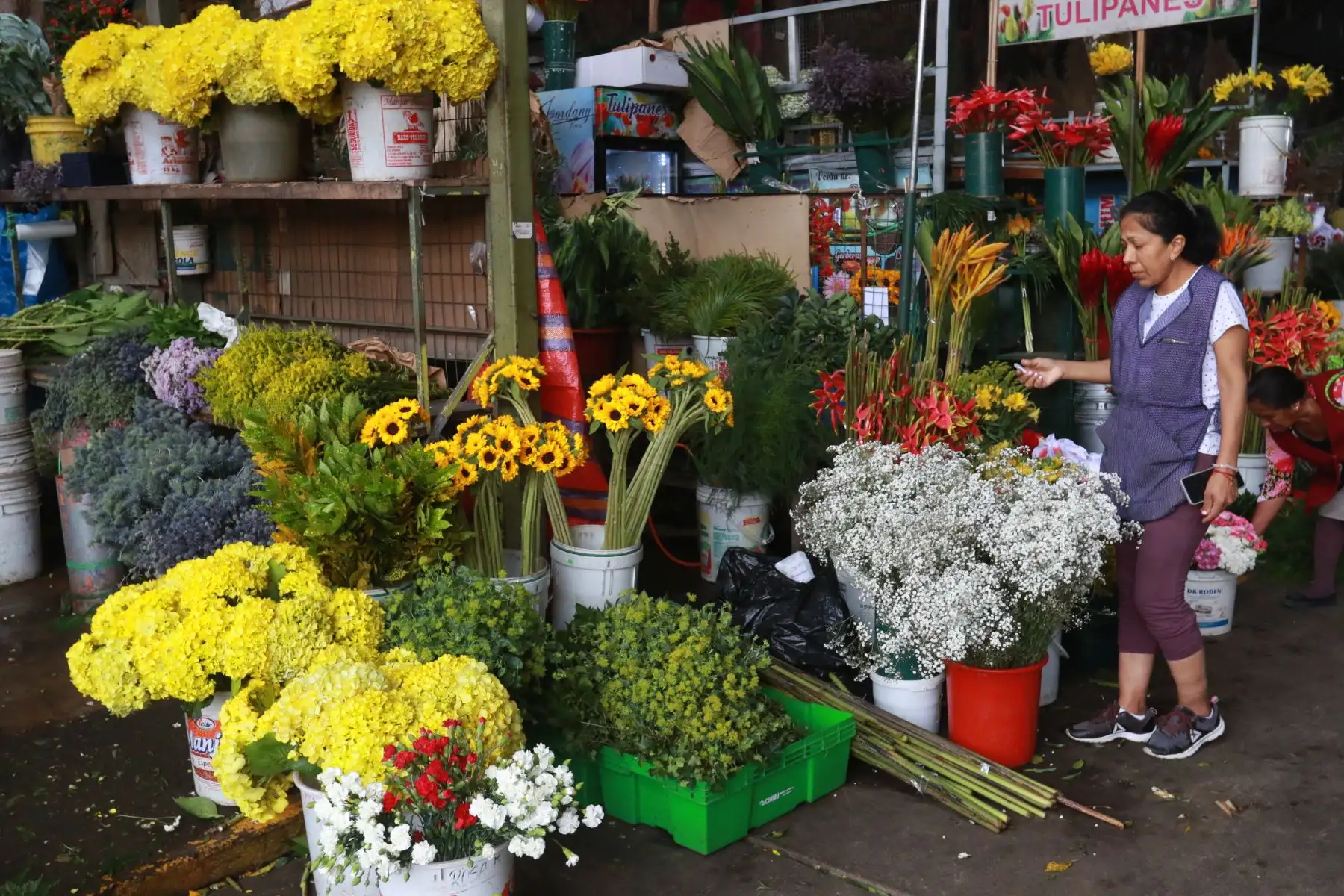 A escasas horas de recibir el año nuevo 2023 muchas personas acuden al mercado de flores Santa Rosa en el Rimac para comprar los arreglos florales de dicho color para atraer la suerte del nuevo año. Los ramos de flores amarillas se pueden encontrar de todo precio mientras que los girasoles se venden desde 6 soles  hasta 14 soles el ramo, hay para todos los gustos. Foto: ANDINA/Héctor Vinces