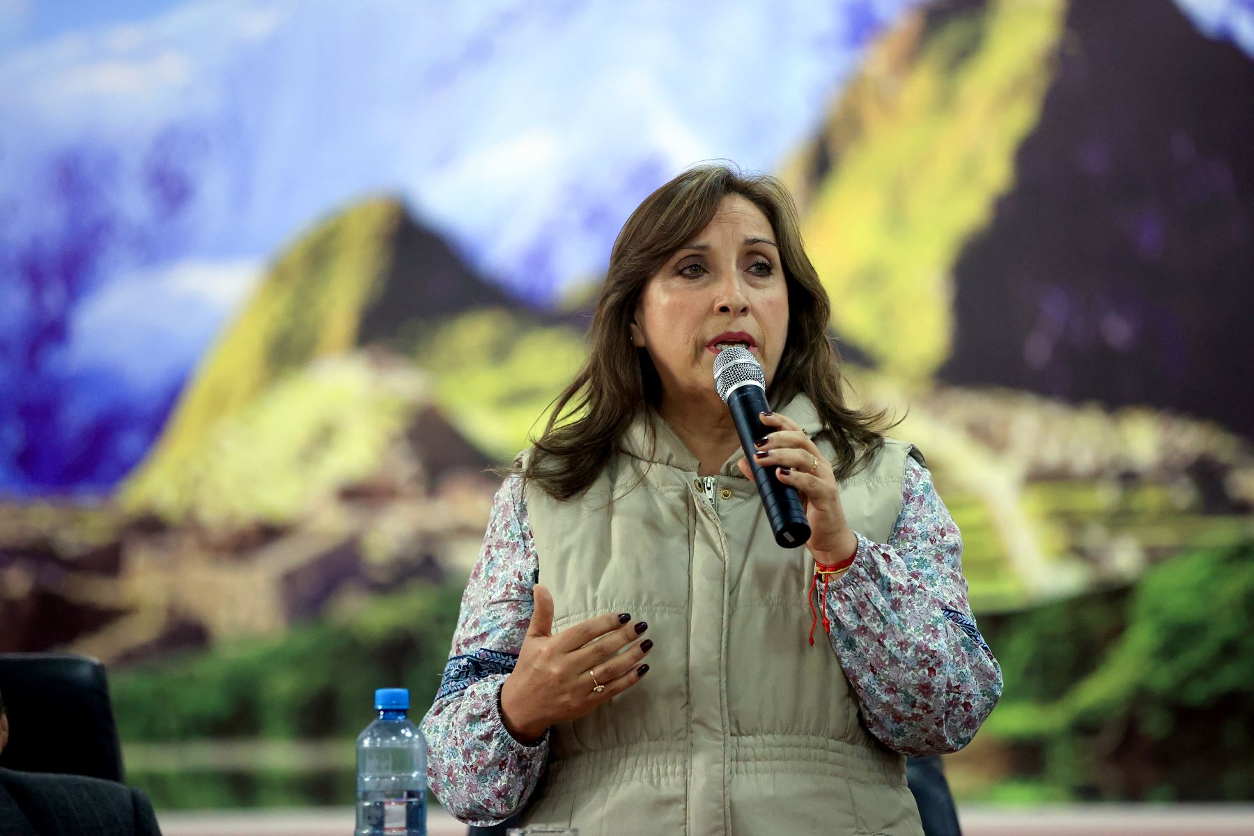 Jefa del Estado, Dina Boluarte. Foto: ANDINA/Prensa Presidencia.