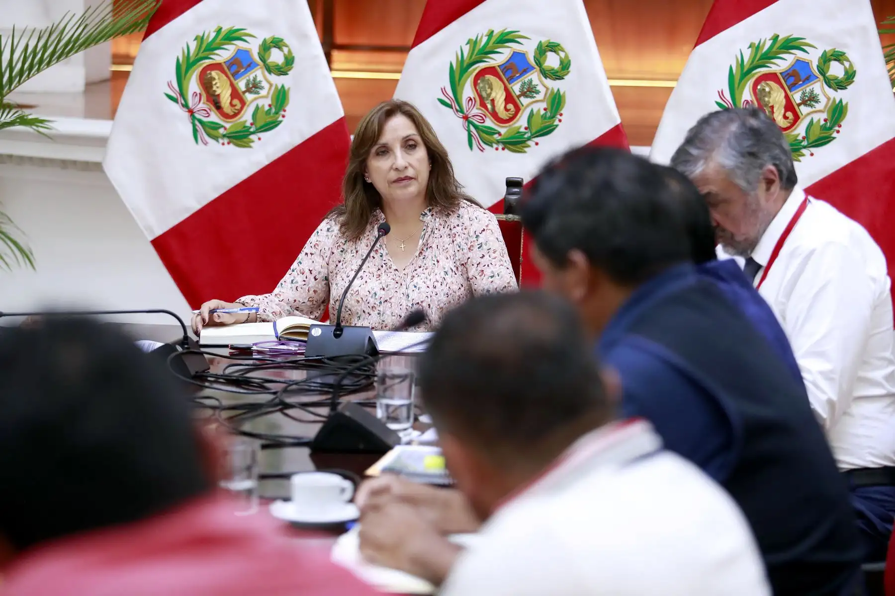 Presidenta de la República, Dina Boluarte, se reunió con representantes de pescadores artesanales. Foto: ANDINA/Prensa Presidencia