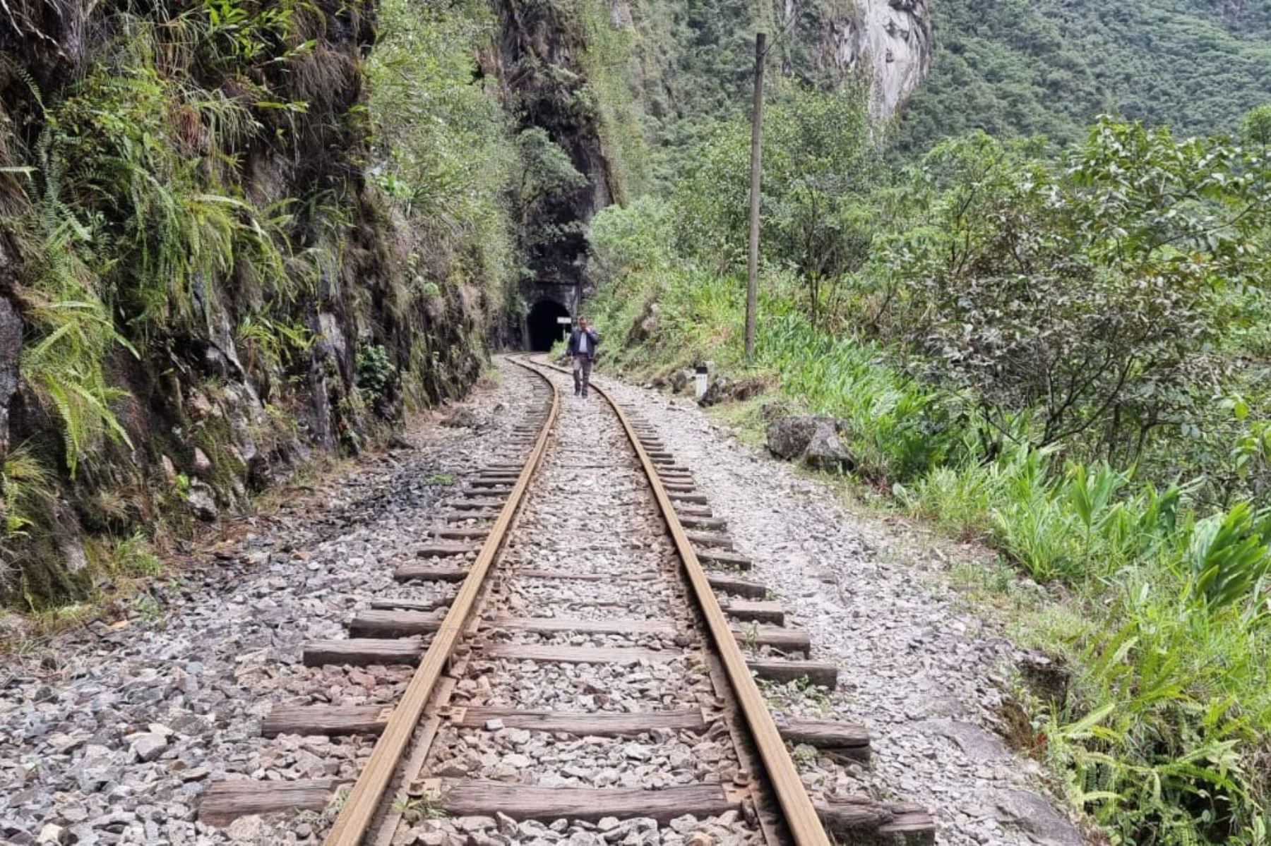 Los trenes que cubren la ruta Ollantaytambo-Machu Picchu-Hidroeléctrica ya pueden ingresar sin inconvenientes, señala el comunicado de la empresa Ferrocarril Transandino S.A., concesionario de la vía férrea del sur y sur oriente del país. Foto: ANDINA/difusión.