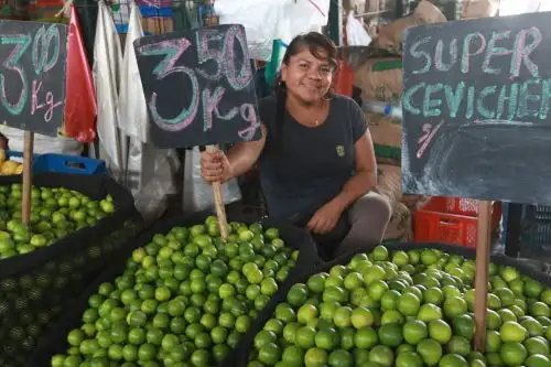 ANDINA/Héctor Vinces