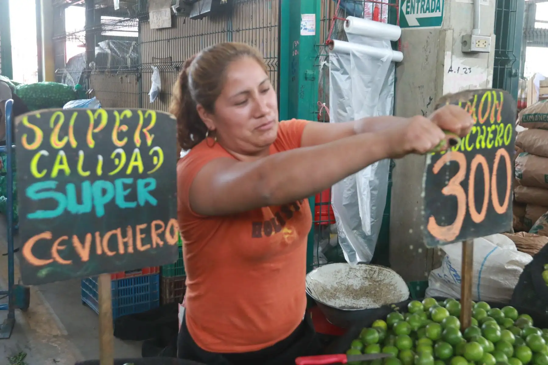 ANDINA/Héctor Vinces