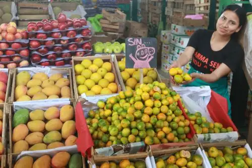 Existen muchas frutas que son aliadas claves en el cuidado y la protección de la piel, sobre todo frente a los nocivos rayos ultravioleta del sol en verano. ANDINA/Héctor Vinces