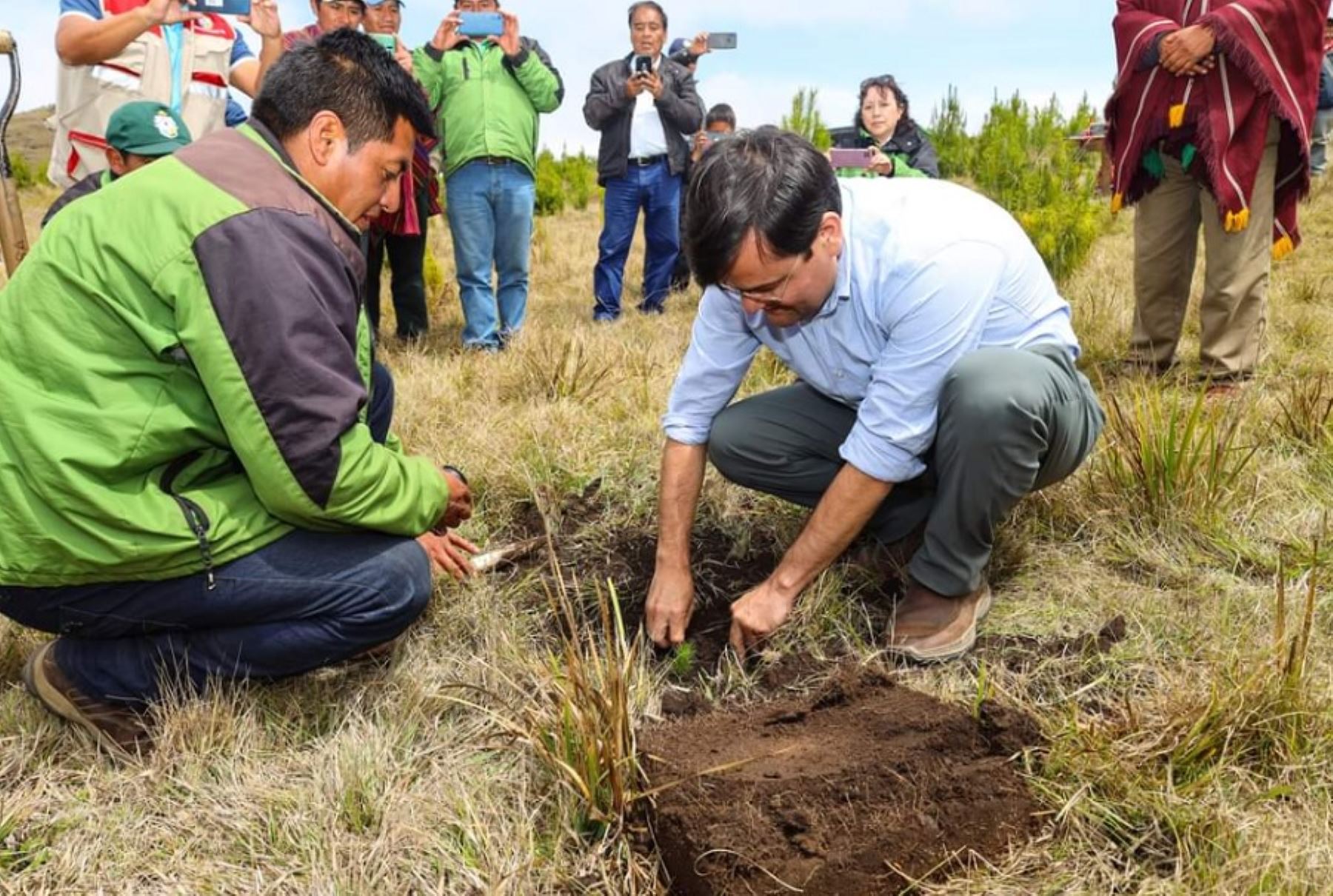 En el distrito andino de Kañaris, en la región Lambayeque, se inició la reforestación de 500 hectáreas con la instalación de 470,926 plantones de especies nativas y exóticas.