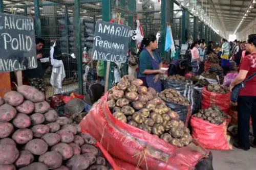 Ello permite atender la demanda de los comerciantes minoristas y consumidores. Cortesía Midagri