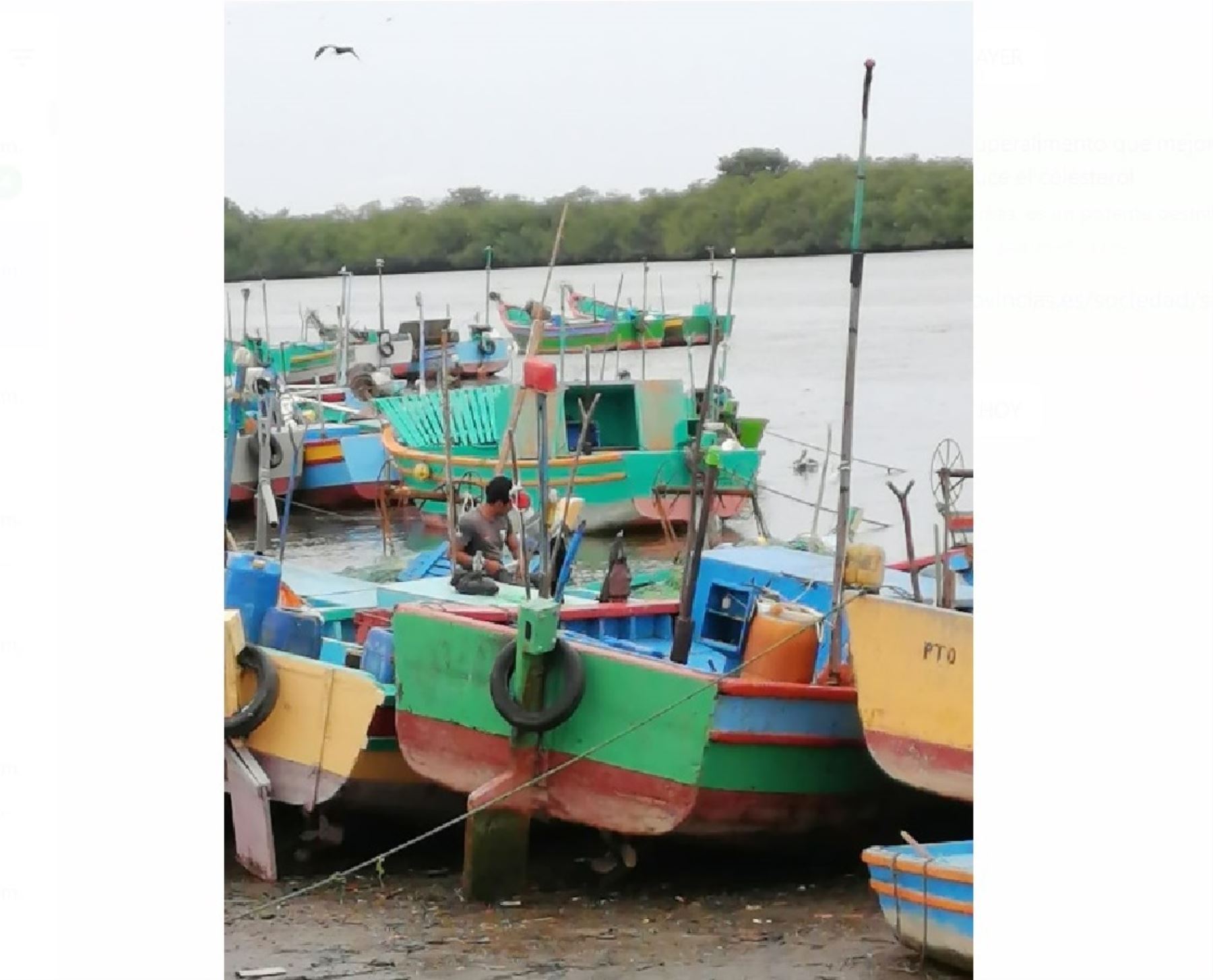 Los pescadores artesanales fueron los principales afectados por los fuertes oleajes que se presentaron en el litoral peruano. Foto: ANDINA/difusión.