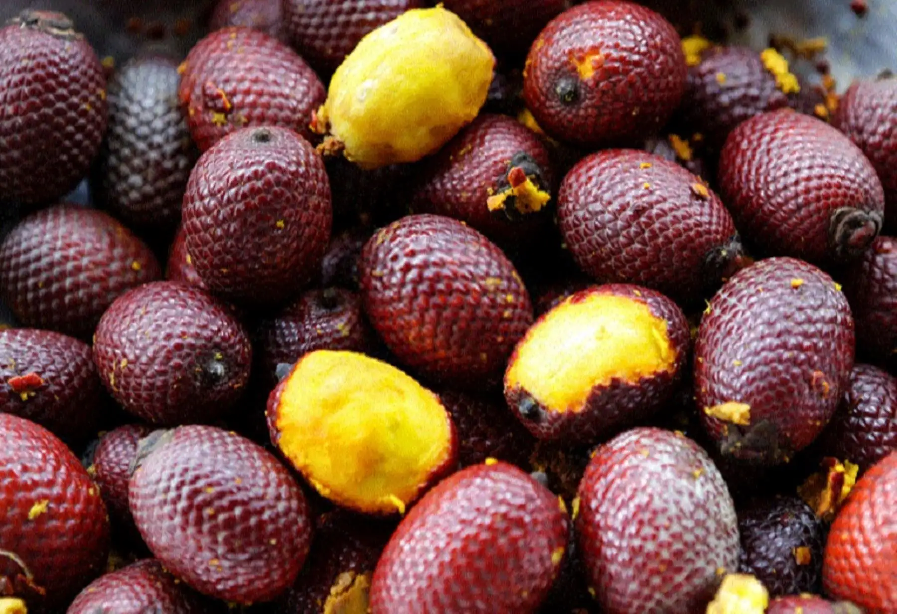 Conocido en nuestra Amazonía como el “fruto del árbol de la vida”, el aguaje (Mauritia flexuosa) es el fruto de una palmera que crece en zonas inundables llamadas aguajales, y destaca por poseer un alto contenido de vitamina A, mayor que la zanahoria y la espinaca. Por ello favorece la salud ocular y ayuda a mantener una piel saludable.