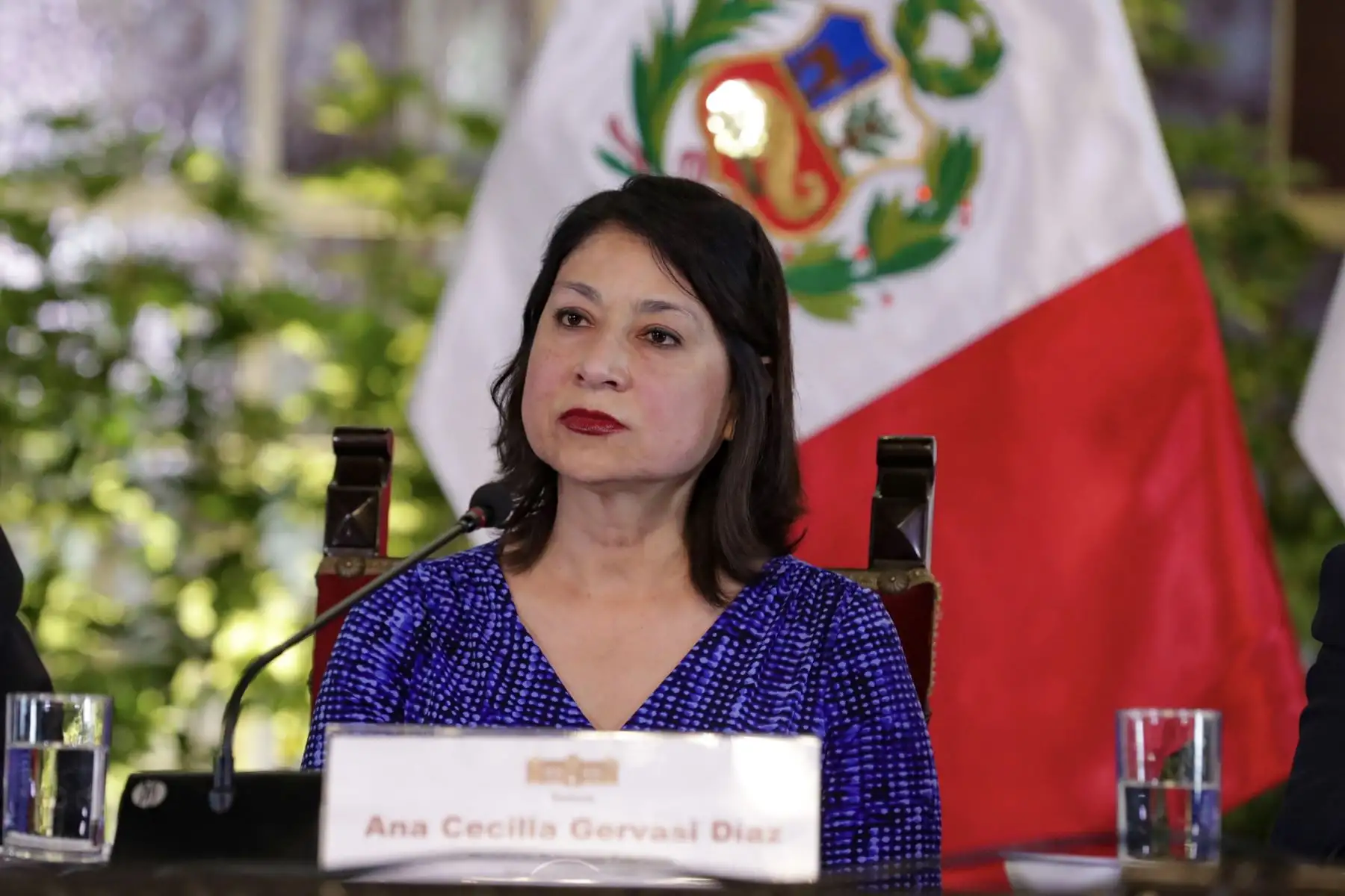 ANDINA/Difusión