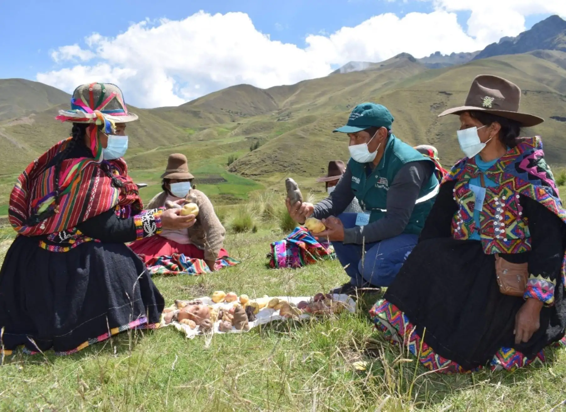 En las escuelas de campo del Senasa los productores aprenden técnicas amigables con el medio ambiente para obtener productos sanos, inocuos y aptos para el consumo humano. ANDINA/Difusión