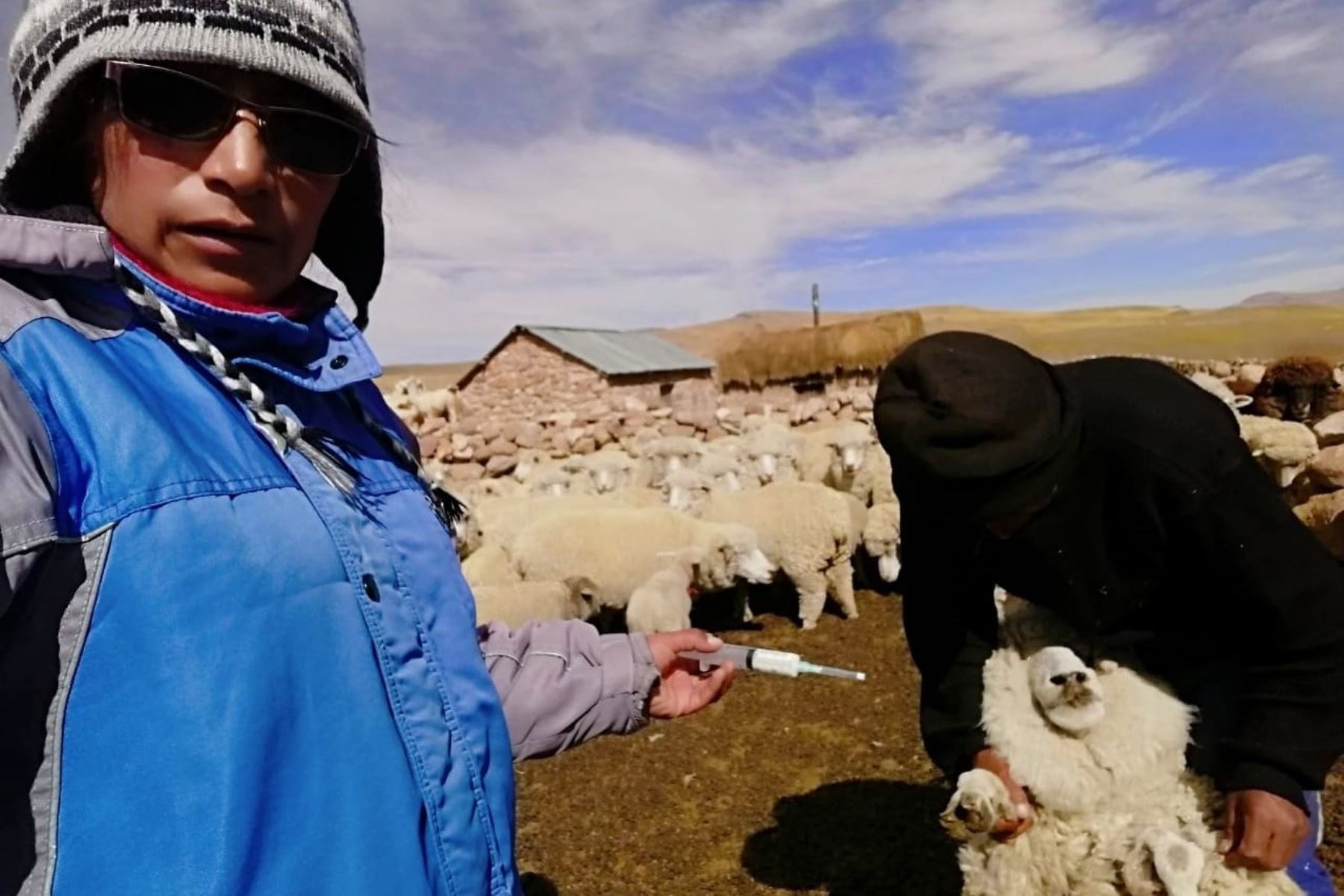 Agro Rural entregó 2,120 kits veterinarios en Arequipa durante el 2022. Foto: Agro Rural