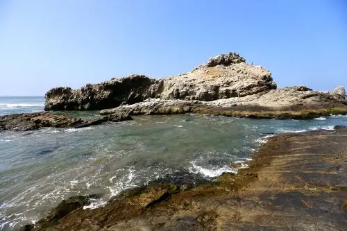 ANDINA/Ricardo Cuba