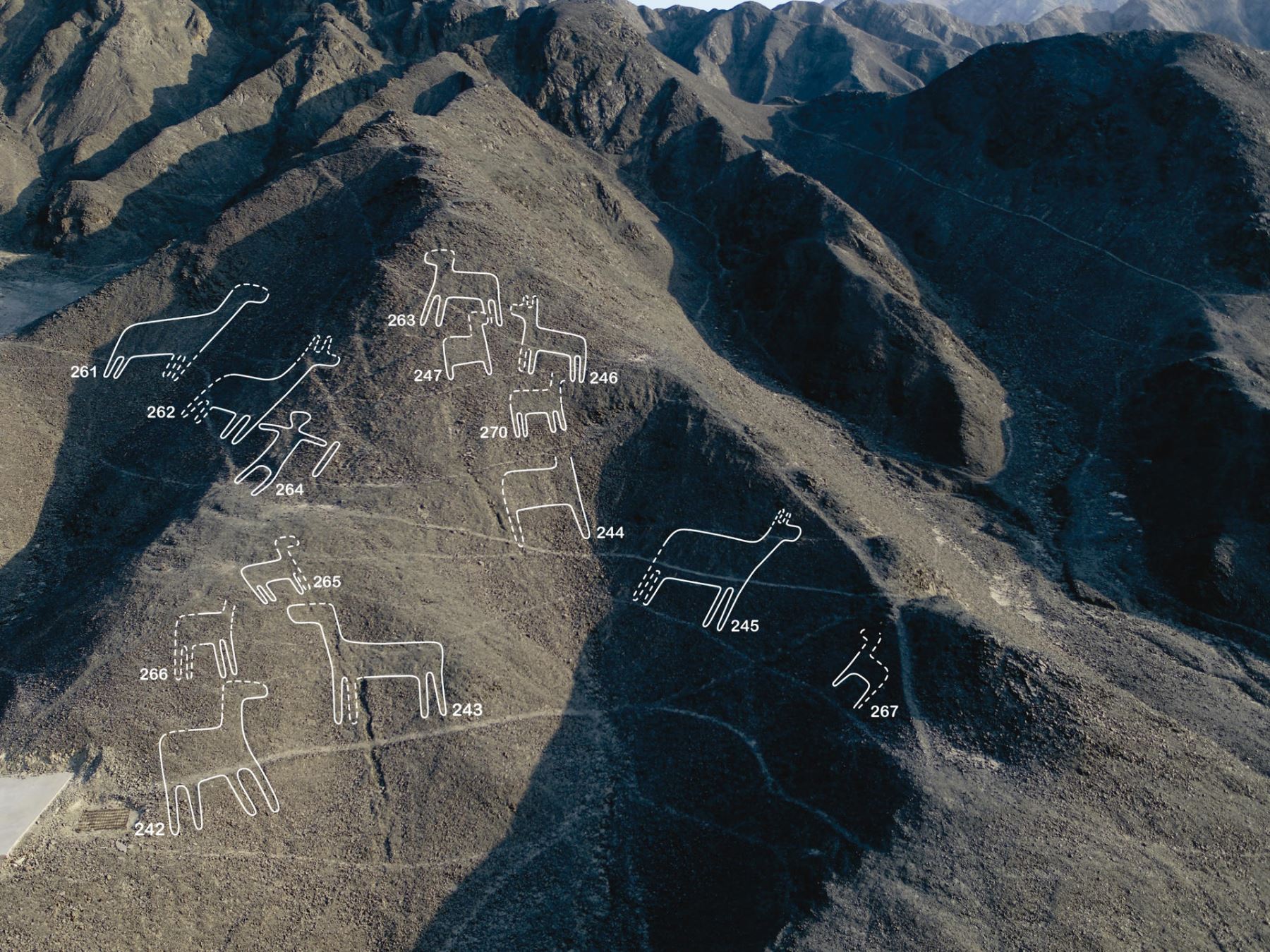 Vista aérea de un grupo de figuras pertenecientes a las líneas de Nasca, en el desierto de la región Ica, al sur de Lima (Perú), descubiertas por un grupo de investigadores japoneses de la Universidad de Yamagata. EFE/ Universidad Yamagata