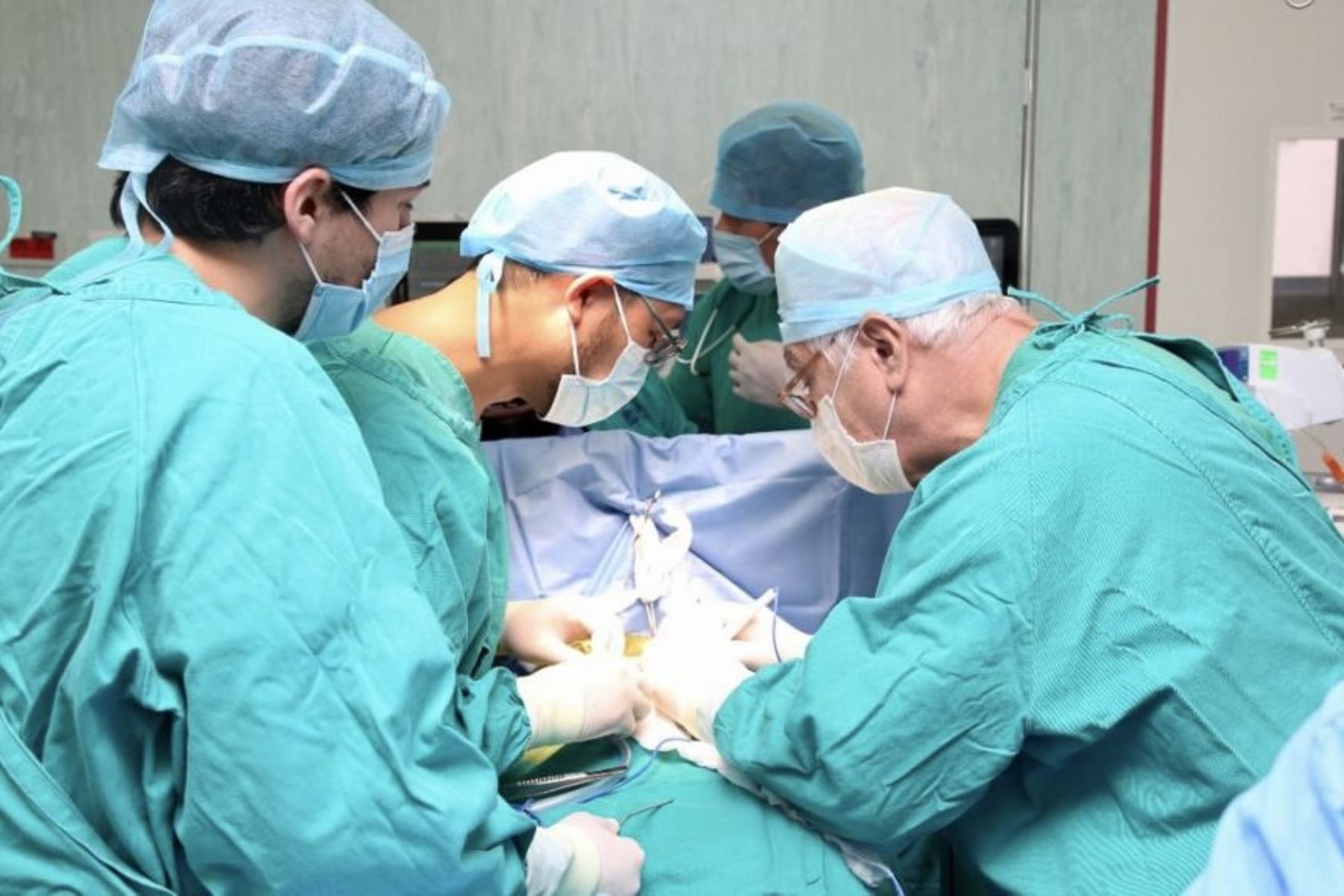 La cirugía se realizó mediante un pequeño corte entre las costillas para llegar al corazón y reparar el conducto abierto con puntos o ligaduras. ANDINA/ INSN- San Borja.