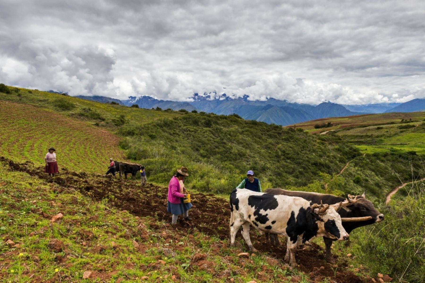 Pequeños agricultores en la zona andina del país. Foto: Cortesía.