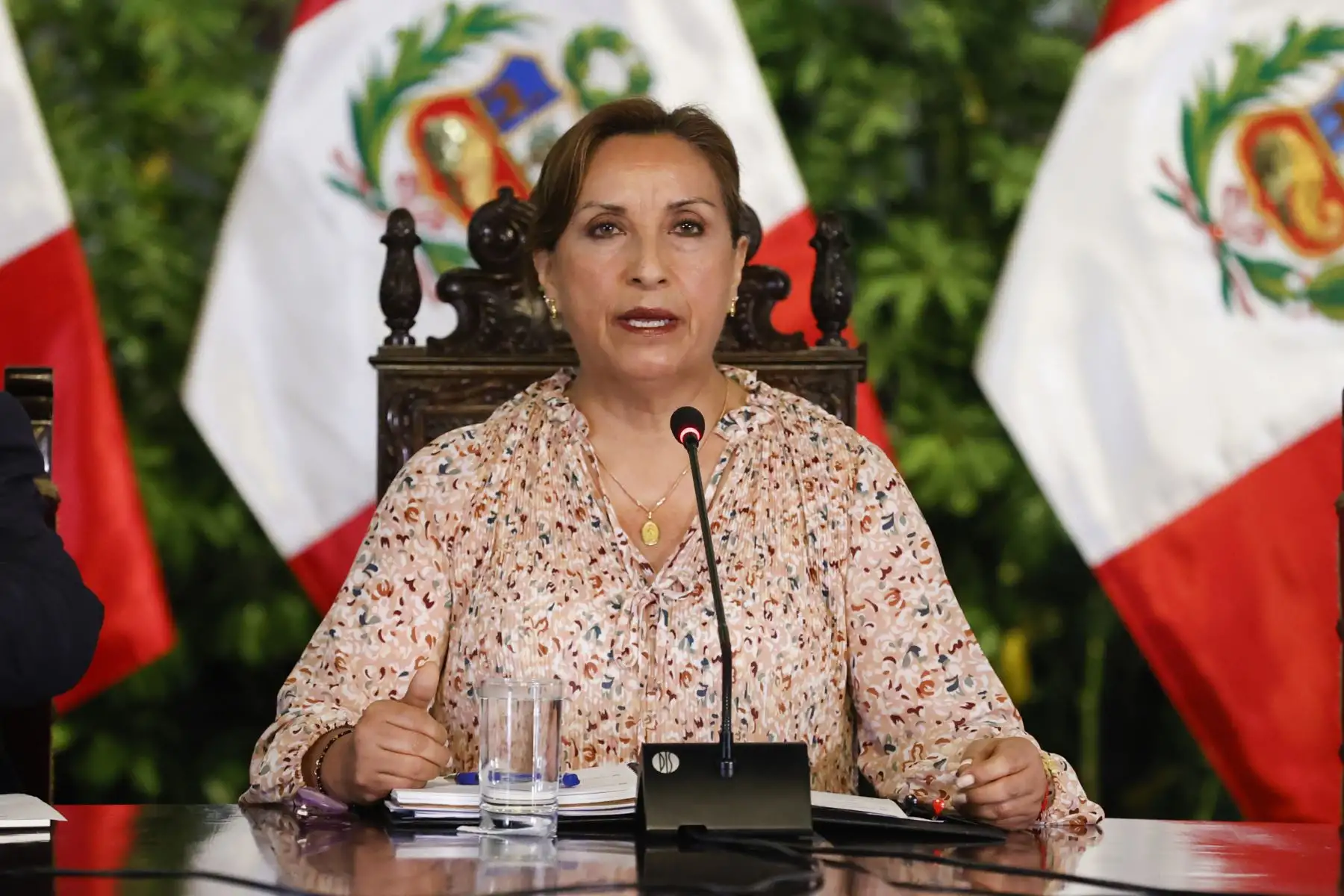 Foto: ANDINA/Prensa Presidencia.