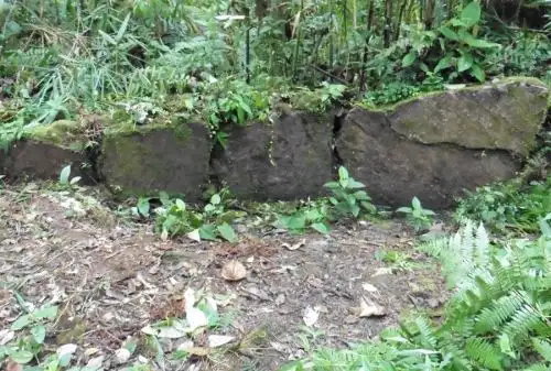El sitio arqueológico Tsimeri - ubicado entre los distritos de San Luis de Shuaro y Oxapampa, pertenecientes a las provincias de Chanchamayo y Oxapampa, en los departamentos de Junín y Pasco, respectivamente - constituye un inmueble con estructuras arquitectónicas hechas de piedra, asociada a cerámica fragmentada en superficie, y reviste un importante valor cultural para la población local al ser considerado un lugar de importancia histórica.