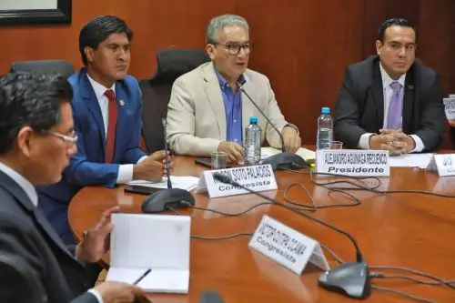 ANDINA/Difusión