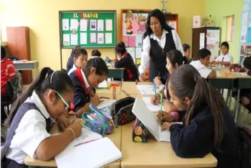 Aspirantes deben acreditar como requisito mínimo tener los estudios superiores requeridos por cada nivel y modalidad educativa, gozar de buena salud física y mental y tener menos de 65 años de edad al momento de postular.