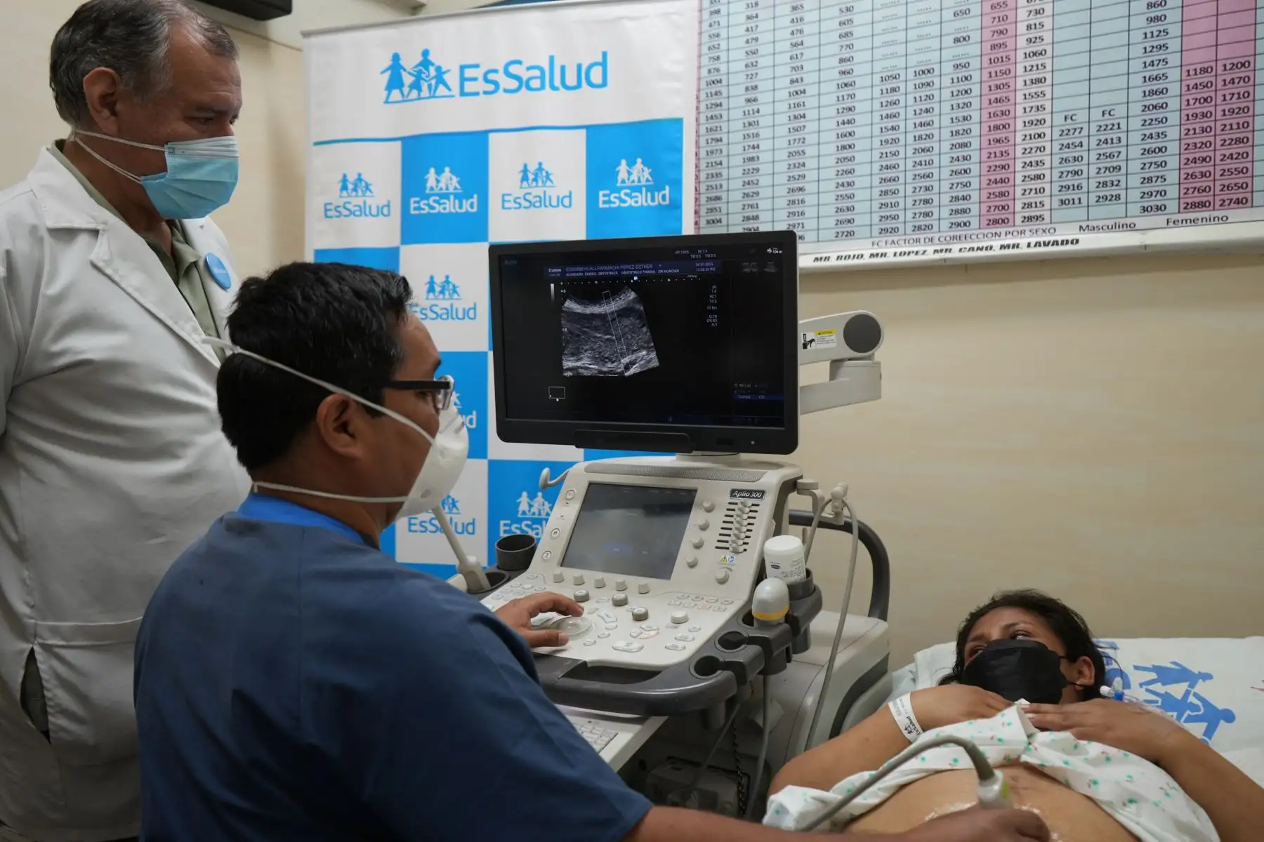 Seguro Social de Salud (EsSalud)