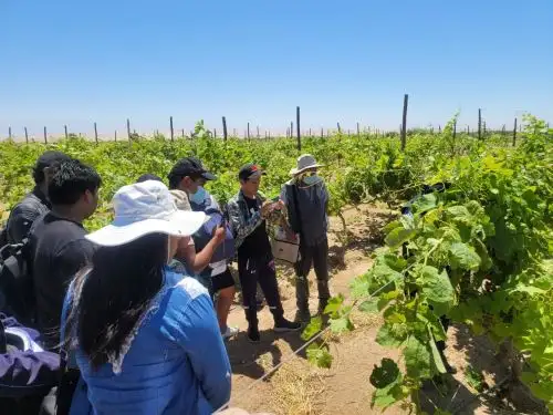 El INIA fortalece los proyectos de innovación agraria de Tacna para el desarrollo del sector de esta región. ANDINA/Difusión