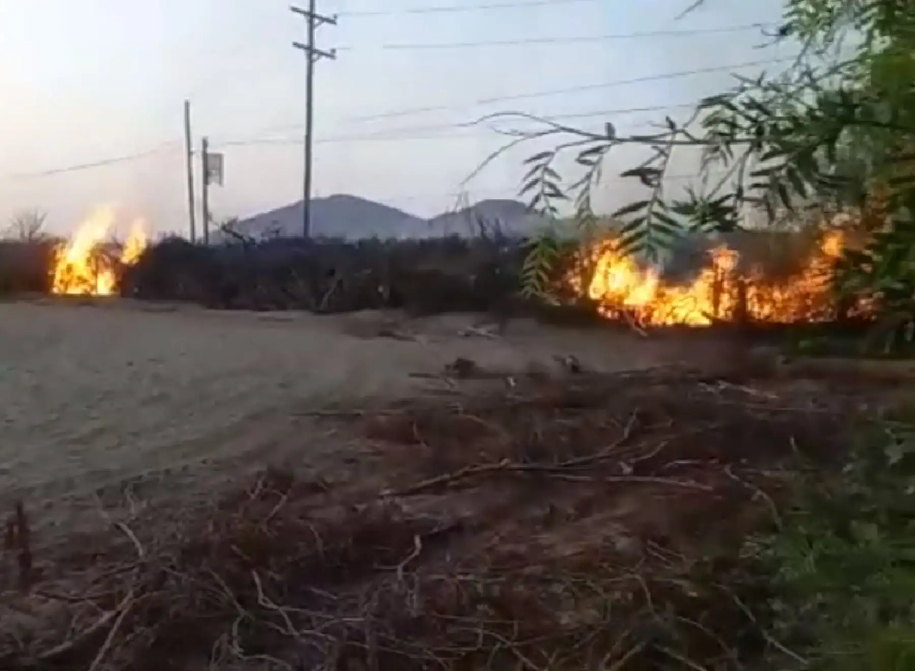 Vándalos incendian, destruyen y saquean tres fundos agrícolas de Ica y amenazan a trabajadores. ANDINA/Difusión