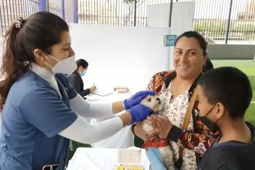 Los asistentes podrán acceder a consultas gratuitas de Triaje, descarte de anemia, descarte de glucosa, hipertensión arterial y covid-19. ANDINA/ Municipalidad de Chorrillos.