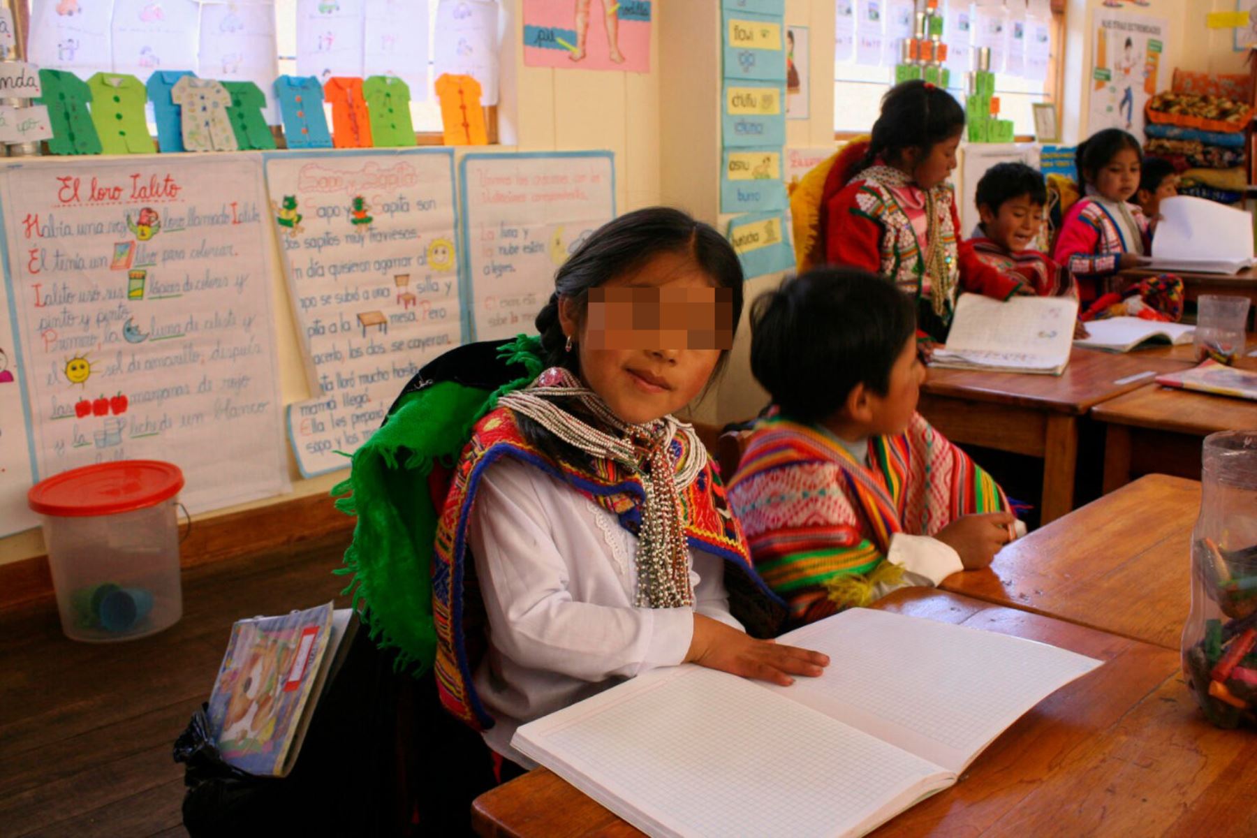 Mayores recursos para la educación pública permitirán reducir las brechas de pobreza de aprendizaje. Foto: Unicef Perú.