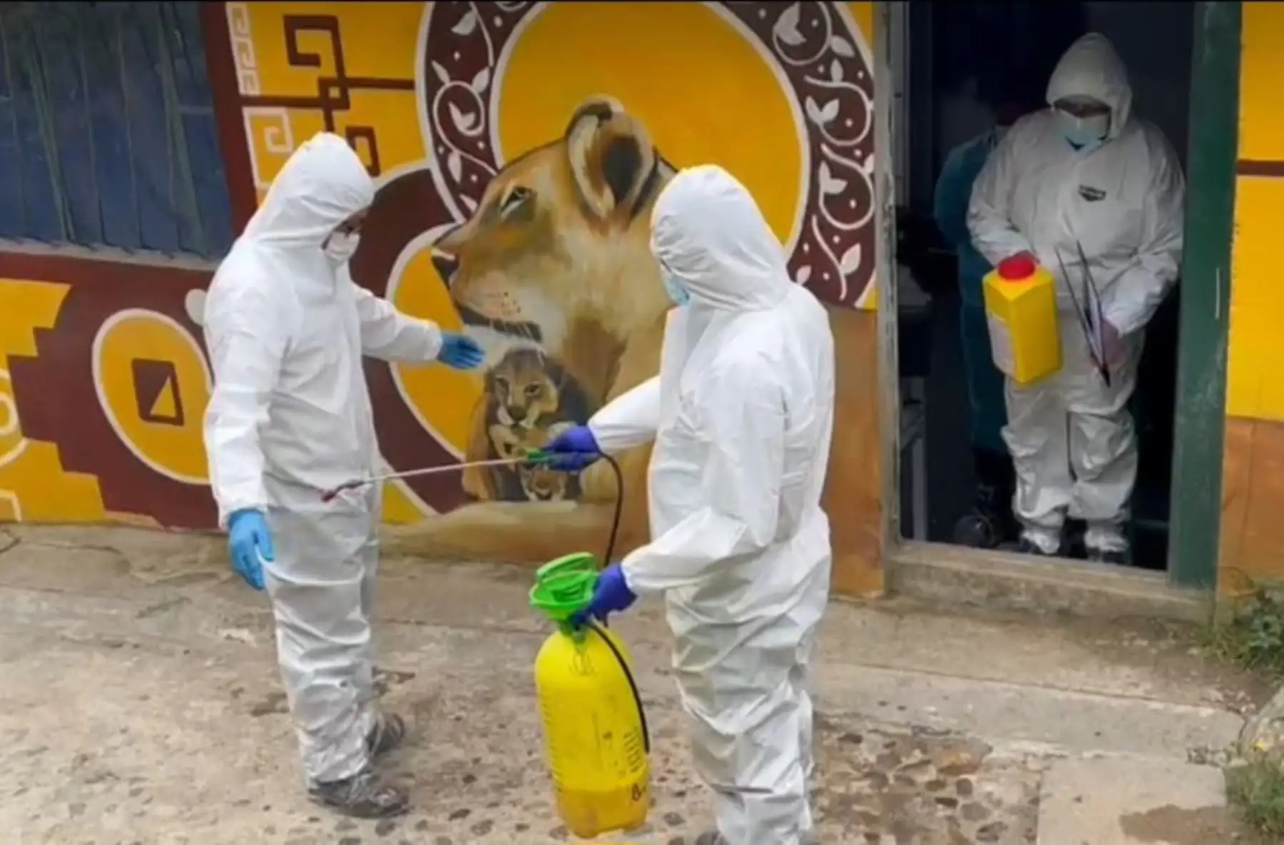 Autoridades hicieron inspección en el zoológico municipal de Huancayo y confirmaron muerte de animales.