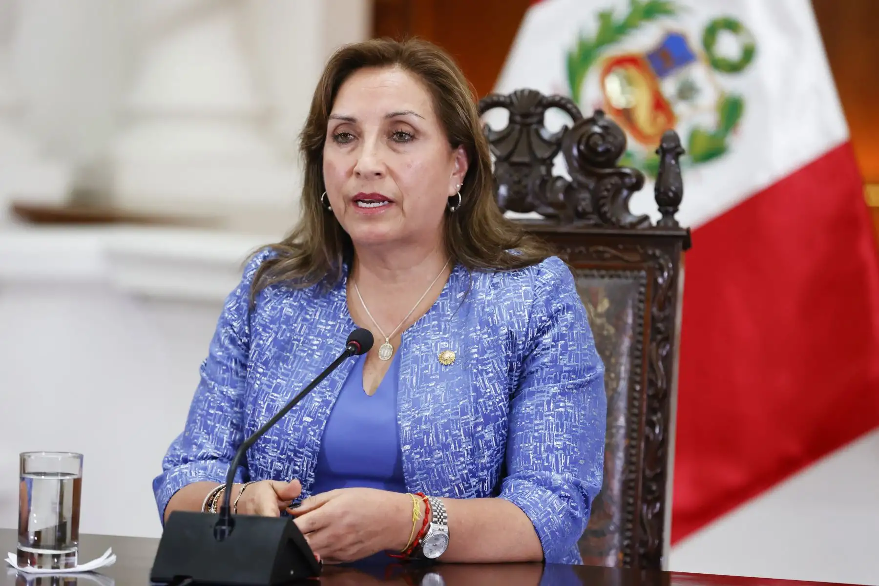Presidenta Dina Boluarte se presenta ante consejo permanente de la OEA  de manera virtual

Foto: ANDINA/Prensa Presidencia