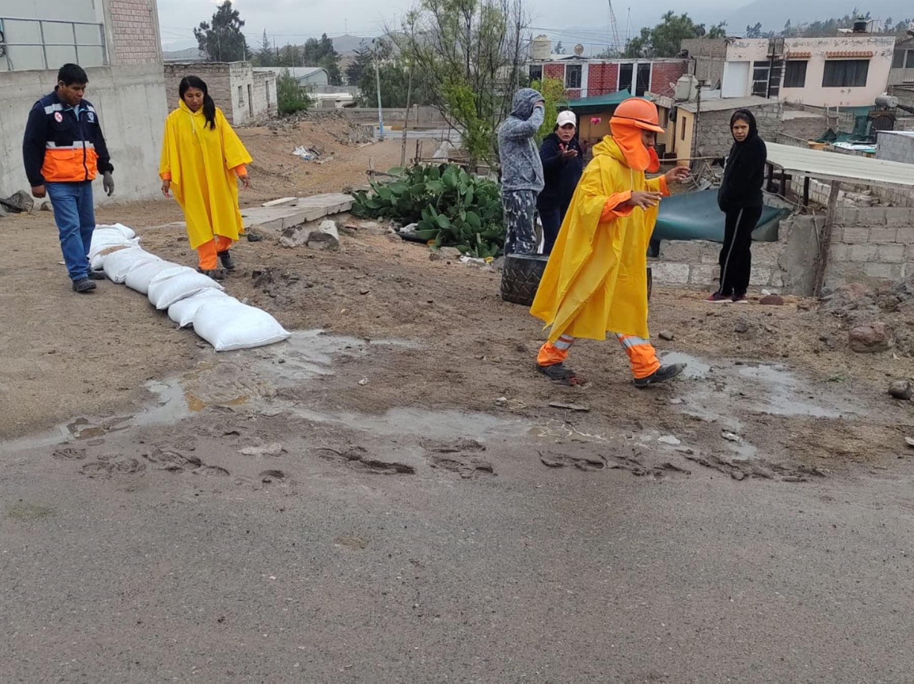Más de 70 viviendas afectadas dejaron las lluvias intensas que se registraron ayer en la provincia de Arequipa. Foto: ANDINA/Difusión.
