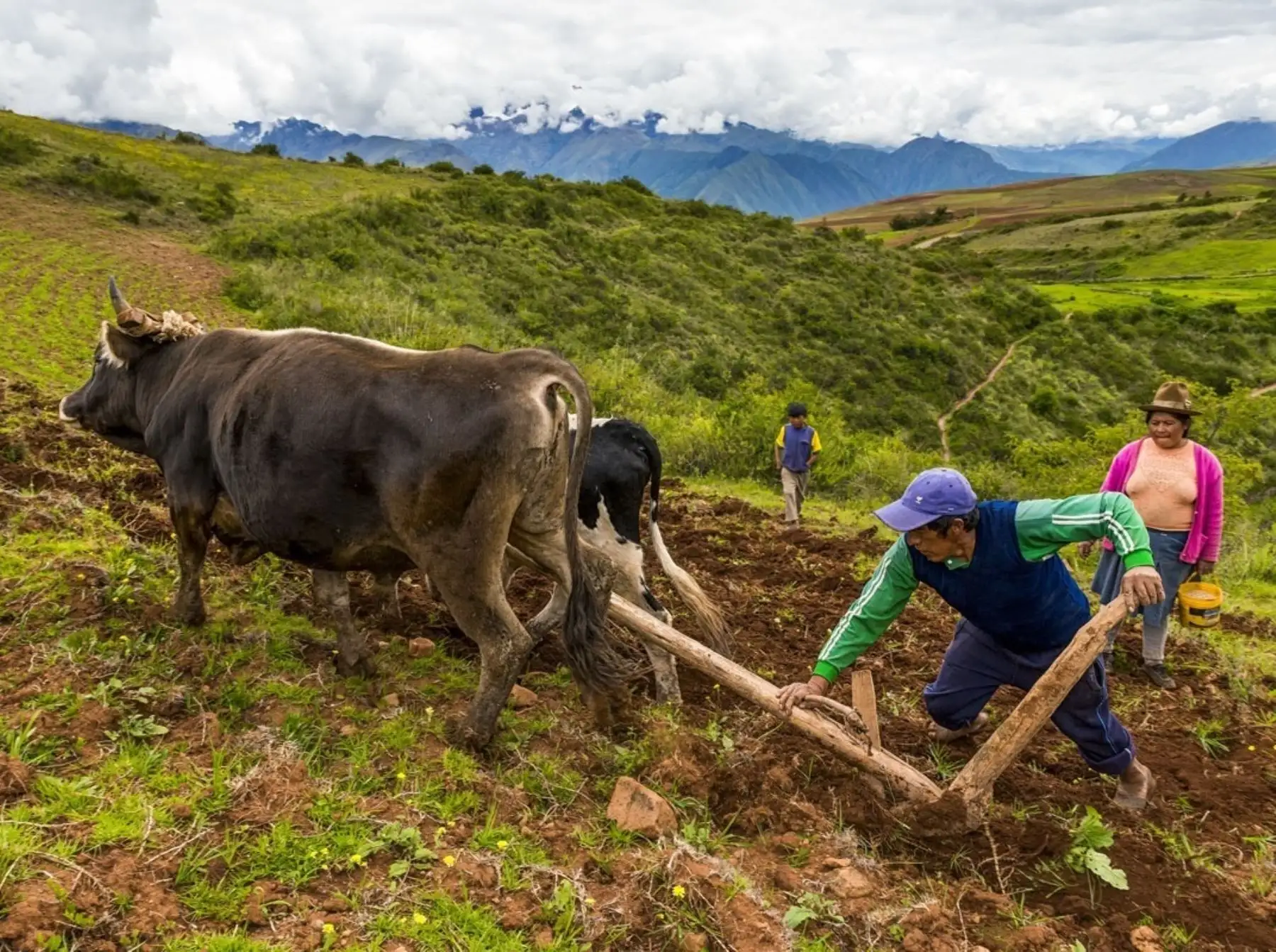 Unidad Ejecutora del Midagri firmó planes de trabajo con 10 gobiernos regionales para impulsar la titulación de predios rurales en sus jurisdicciones.