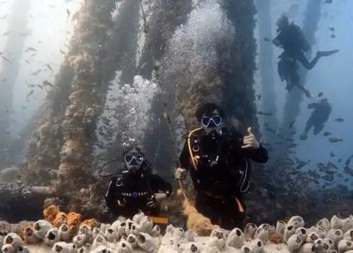 En la plataforma petrolera abandonada en el mar de Piura se ha creado un arrecife artificial y es una zona ideal para la ciencia y el turismo.