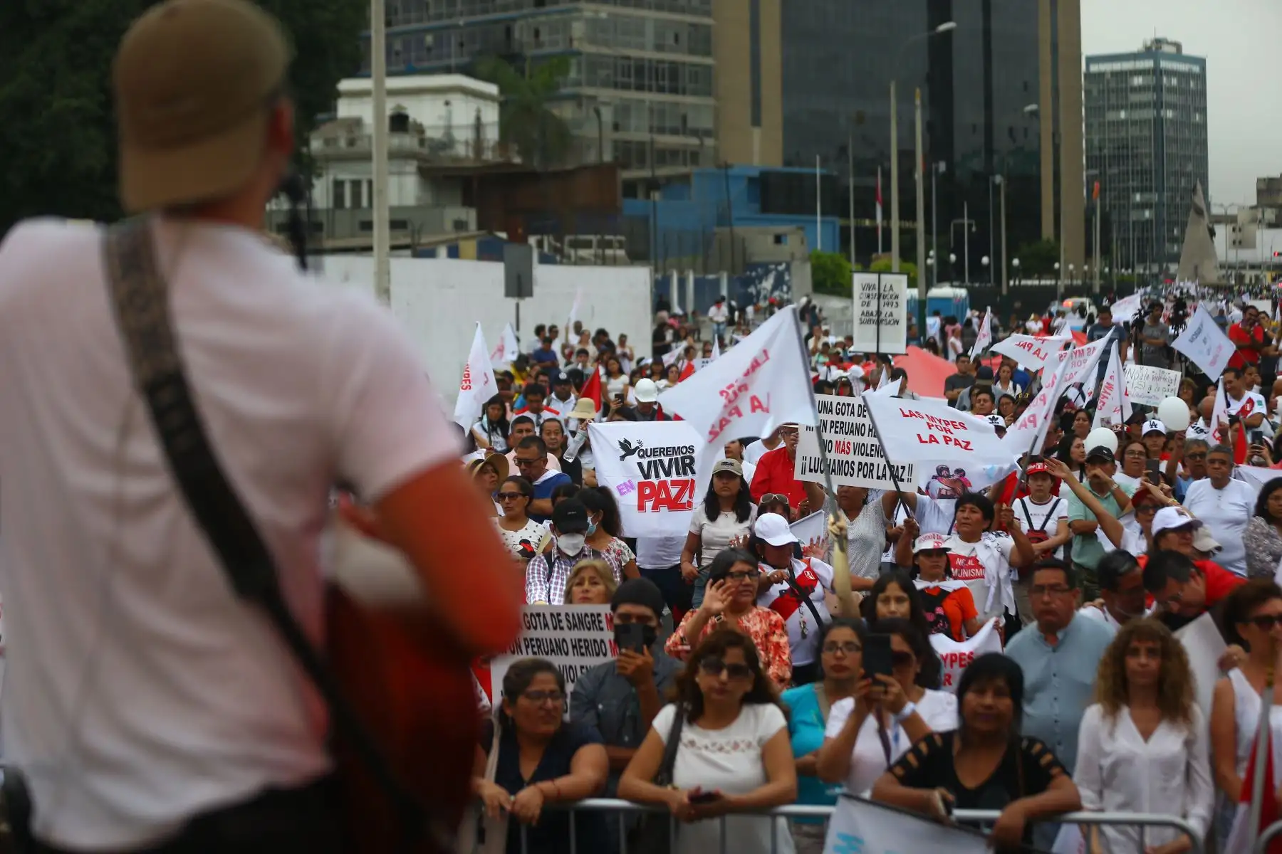 Foto: ANDINA/Ricardo Cuba.