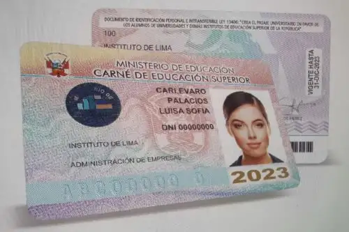Las solicitudes para la expedición del carnet, que otorga el beneficio de pasaje diferenciado, serán atendidas por la mesa de partes del Ministerio de Educación. ANDINA/ Minedu