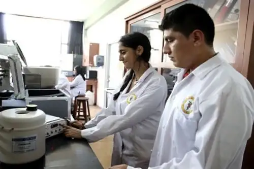 Universitarios podrán financiar sus actividades académicas y de investigación formativa de pregrado. ANDINA/ Minedu