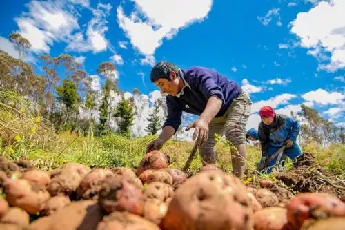 Hombres y Mujeres del campo cuentan con herramienta tecnológica para promover sus productos.