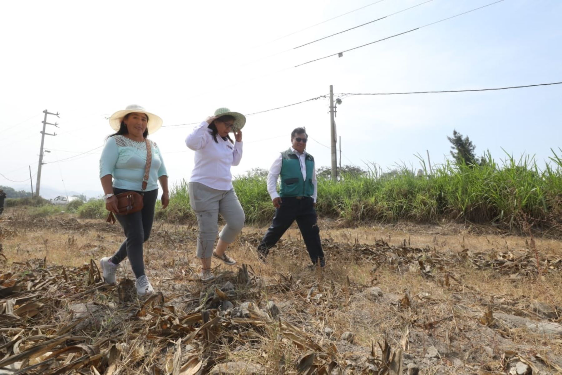 La ministra de Desarrollo Agrario y Riego, Nelly Paredes (al centro), con la primera beneficiaria del bono "Recupérate ya", agricultora Baudelia Sánchez Girón, en Huaura, región Lima.
