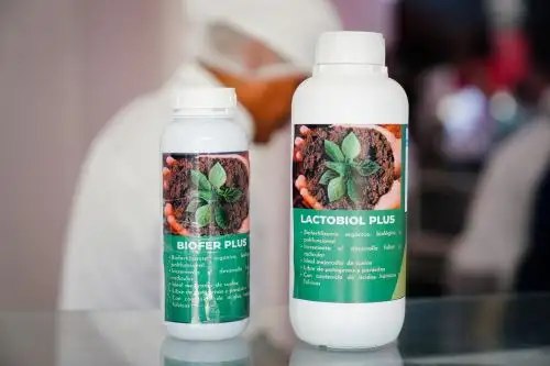 La principal diferencia de este proyecto -en comparación con los demás biofertilizantes que existen en el mercado - es que se está produciendo en base a un subproducto que no se había utilizado antes, como es la torta ambiental. Foto: ITP